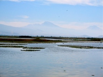 Vista del Lago Xalapango. Atenco. 2014. Fotografía: Sergio Grajales